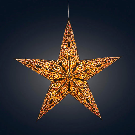 Gaudí 5 Pointer 24" Black / Gold