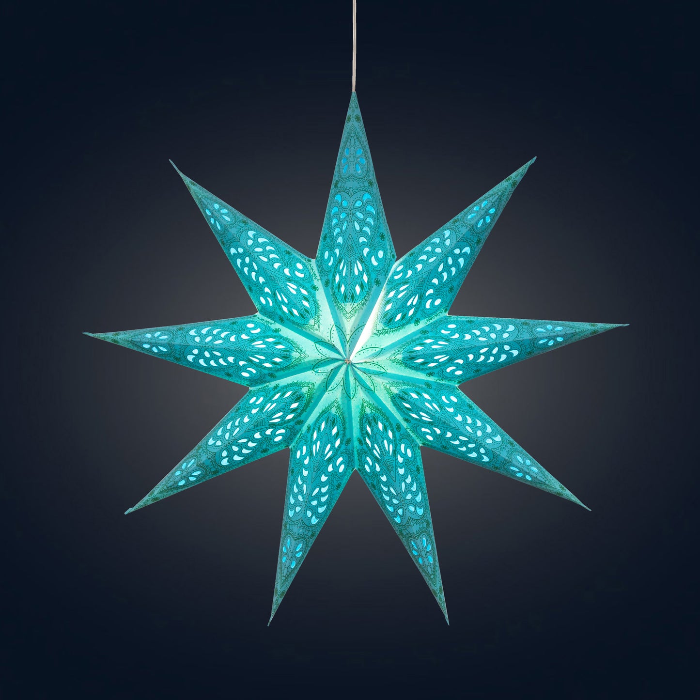 Phoenix 9 Point 17" Turquoise
