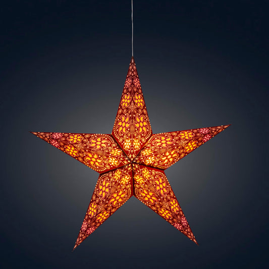 Siklon 5 Pointer 24" Brown / White