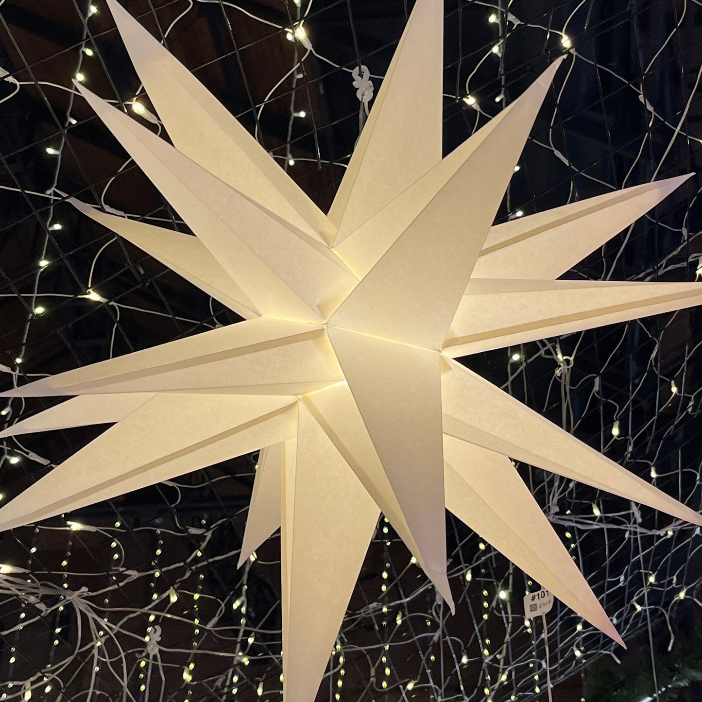 Moravian Star 26" White