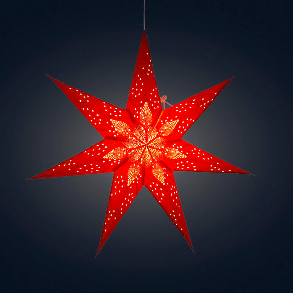 Poinsettia 7 Point 24