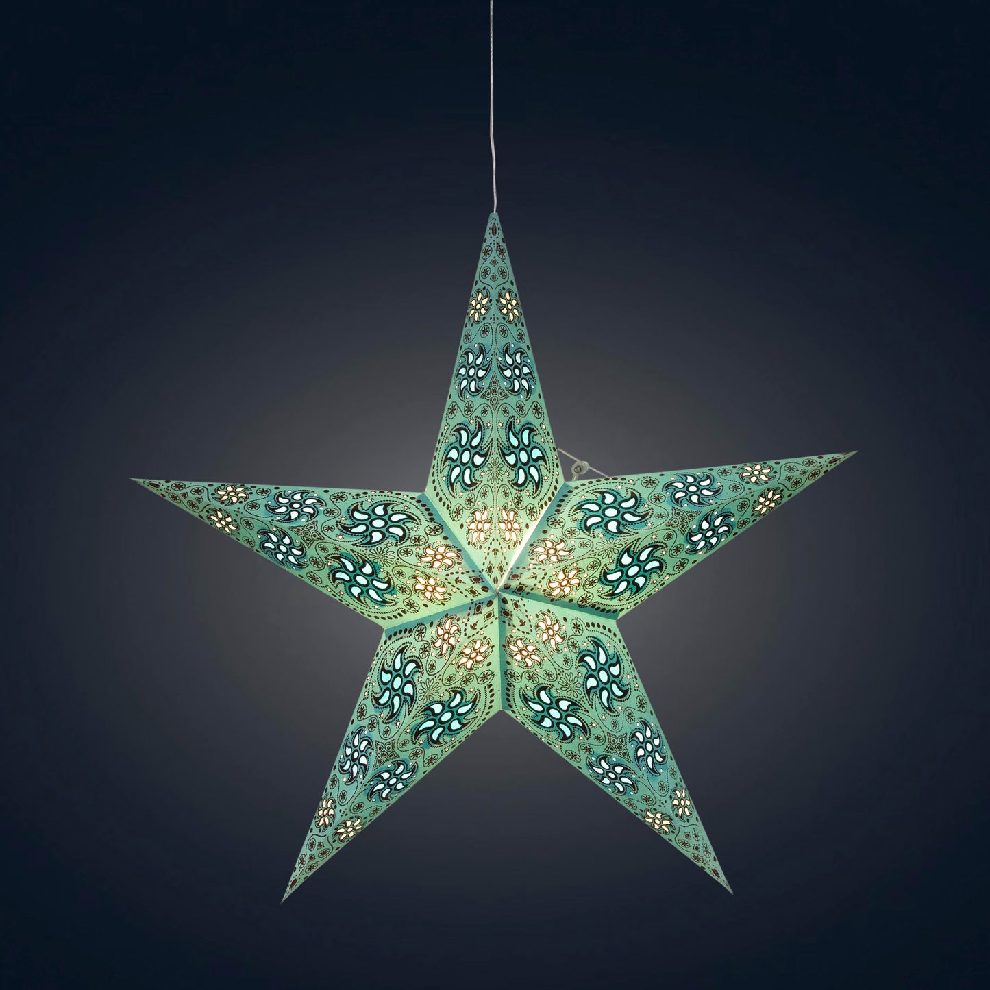 Siklon 5 Pointer 24" Teal w/ Glitter